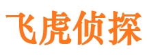 彰武侦探公司